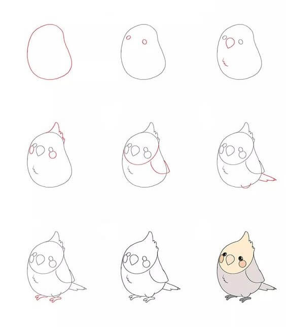 Zeichnen Lernen Vogelidee (15)