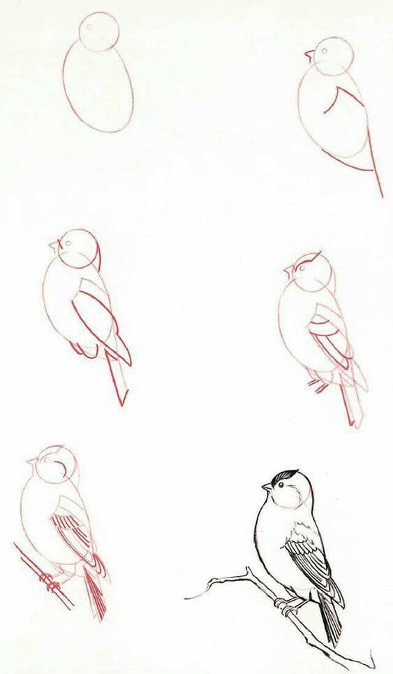 Vogelidee (19) zeichnen ideen