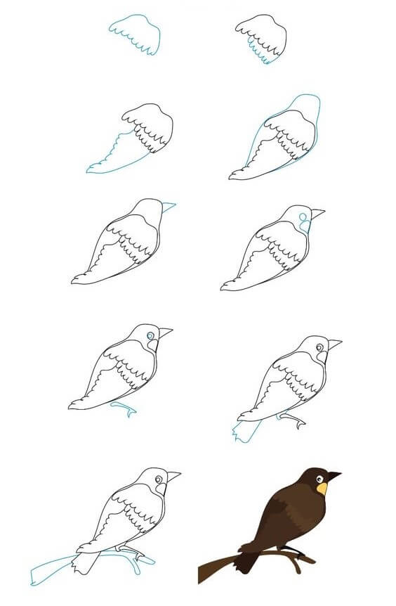 Vogelidee (2) zeichnen ideen