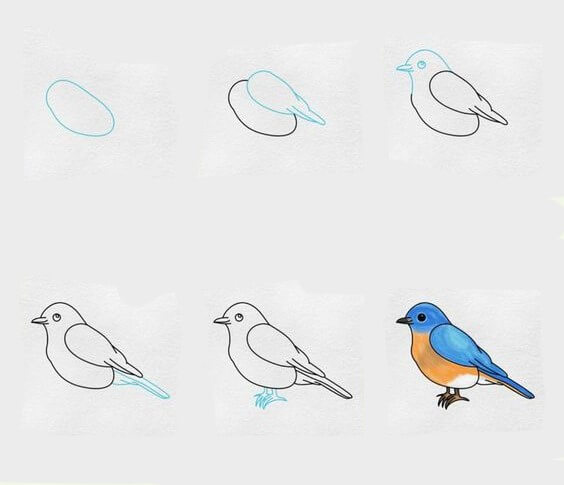 Zeichnen Lernen Vogelidee (20)
