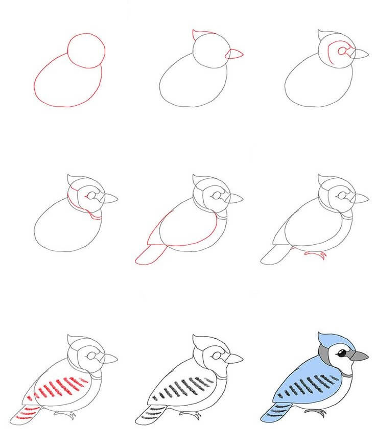 Zeichnen Lernen Vogelidee (21)