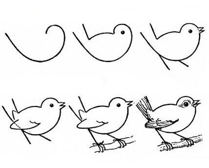 Vogelidee (22) zeichnen ideen