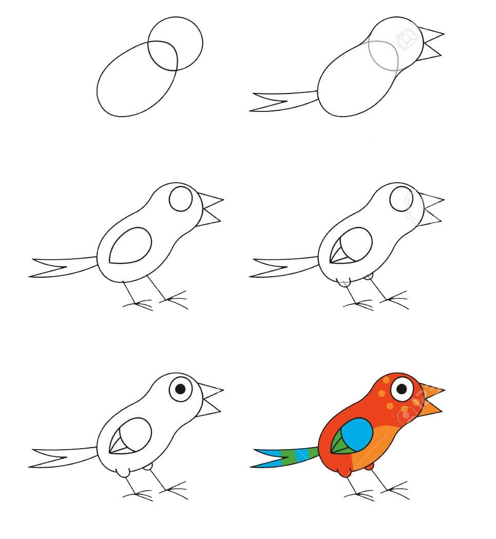 Zeichnen Lernen Vogelidee (23)