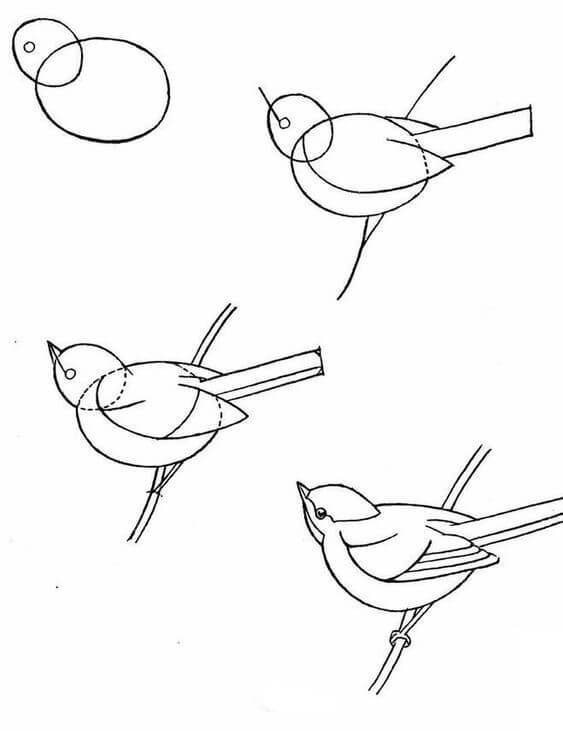 Vogelidee (24) zeichnen ideen