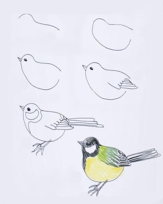 Vogelidee (25) zeichnen ideen