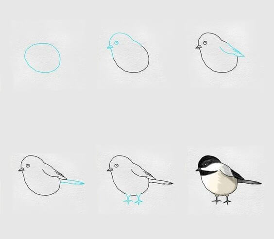Vogelidee (27) zeichnen ideen