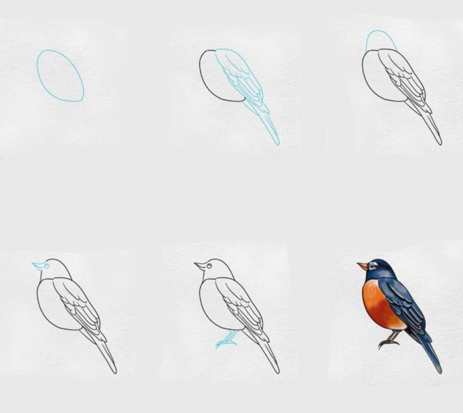 Zeichnen Lernen Vogelidee (29)