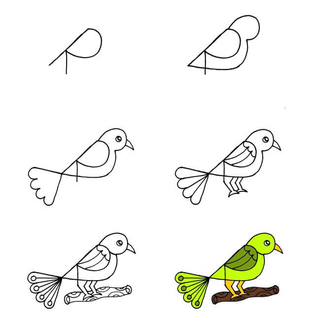 Vogelidee (34) zeichnen ideen