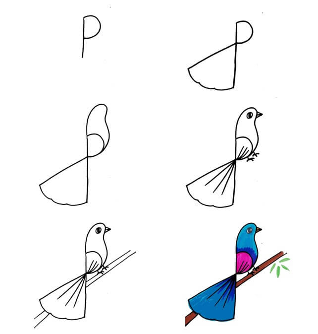 Vogelidee (36) zeichnen ideen