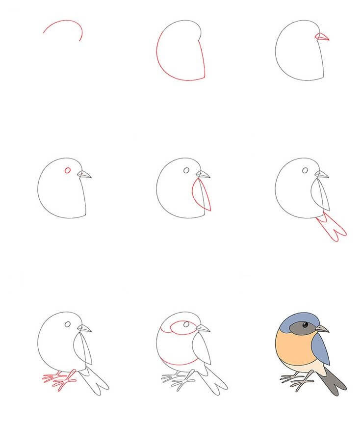 Zeichnen Lernen Vogelidee (5)