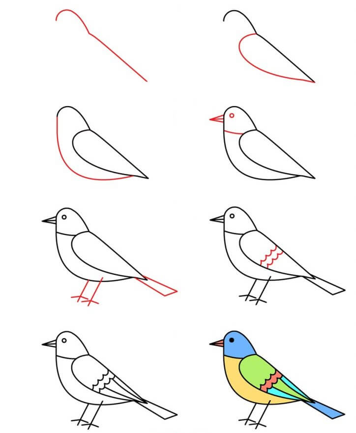 Zeichnen Lernen Vogelidee (6)