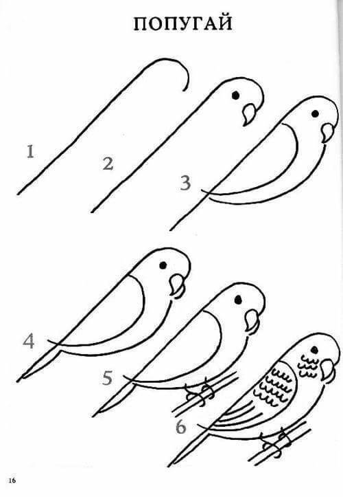 Vogelidee 7 zeichnen ideen