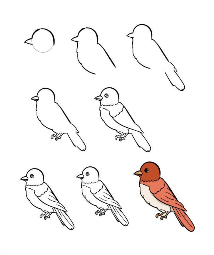 Vogelidee (7) zeichnen ideen