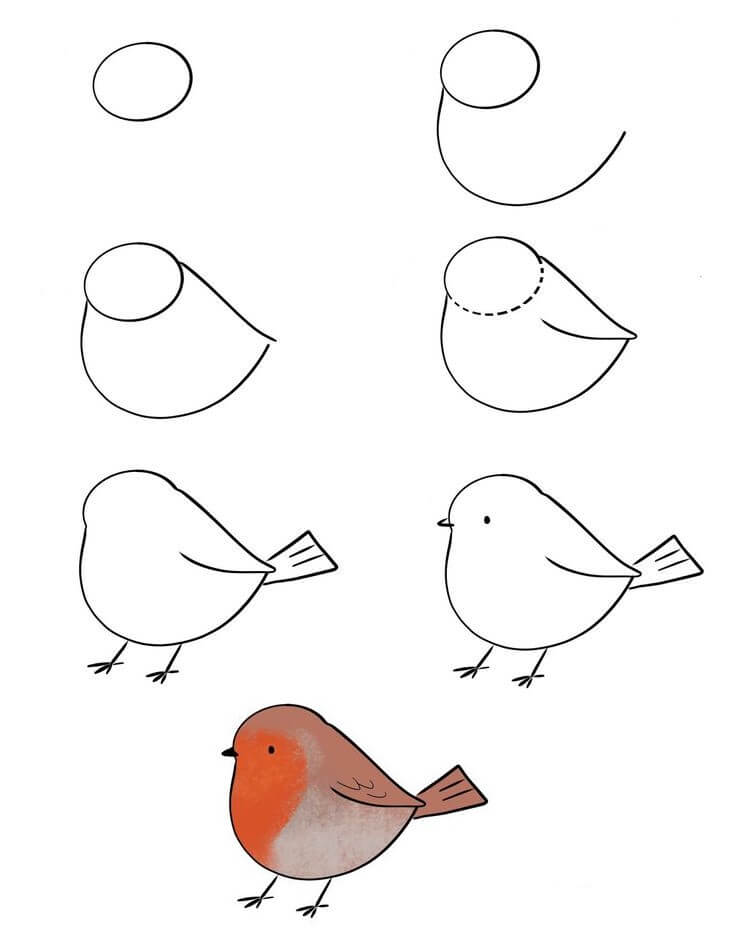 Zeichnen Lernen Vogelidee (9)
