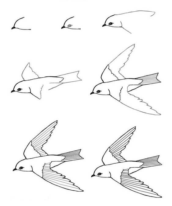 Zeichnen Lernen Vogelnest (1)