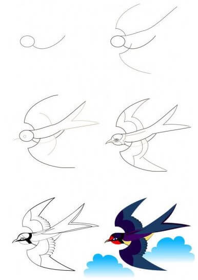 Zeichnen Lernen Vogelnest (2)