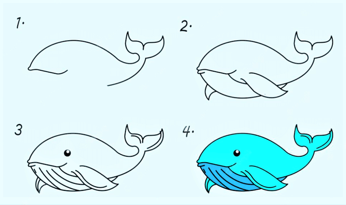 Zeichnen Lernen Wal-Idee 11