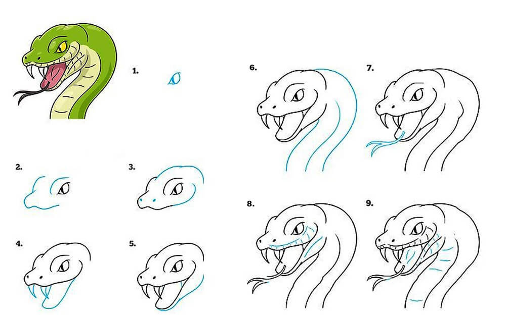 Ein Schlangenkopf zeichnen ideen