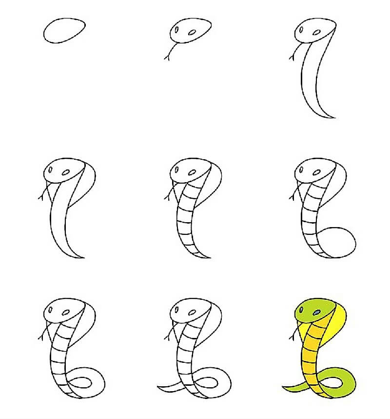 Eine einfache Kobra zeichnen ideen