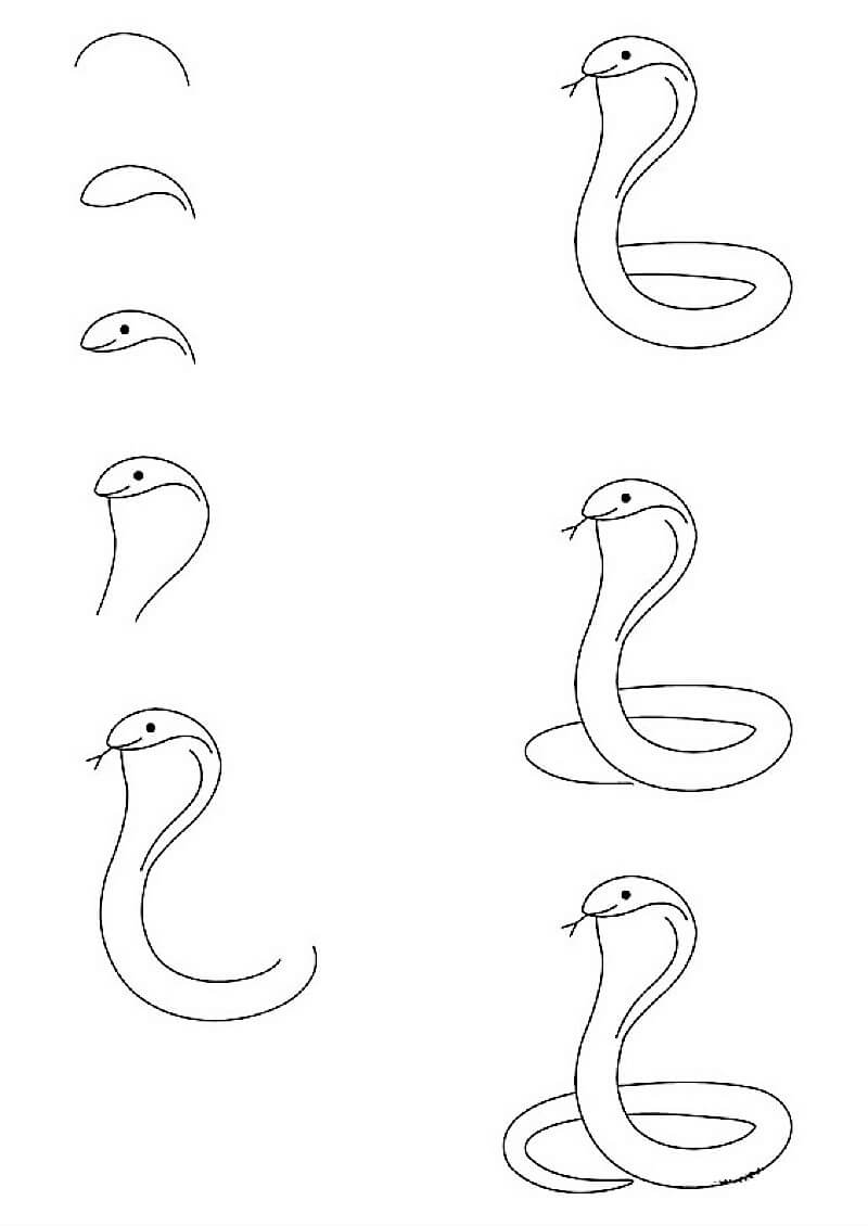 Eine einfache Kobra zeichnen ideen