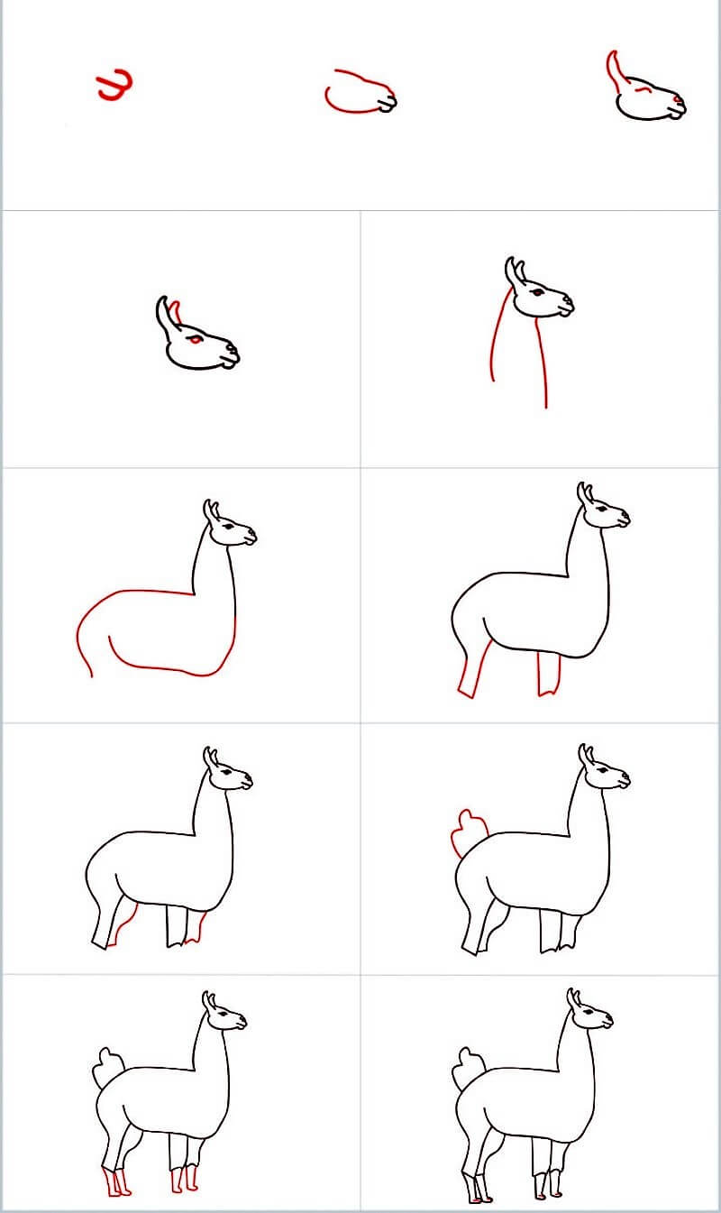 Eine Lama-Idee 8 zeichnen ideen
