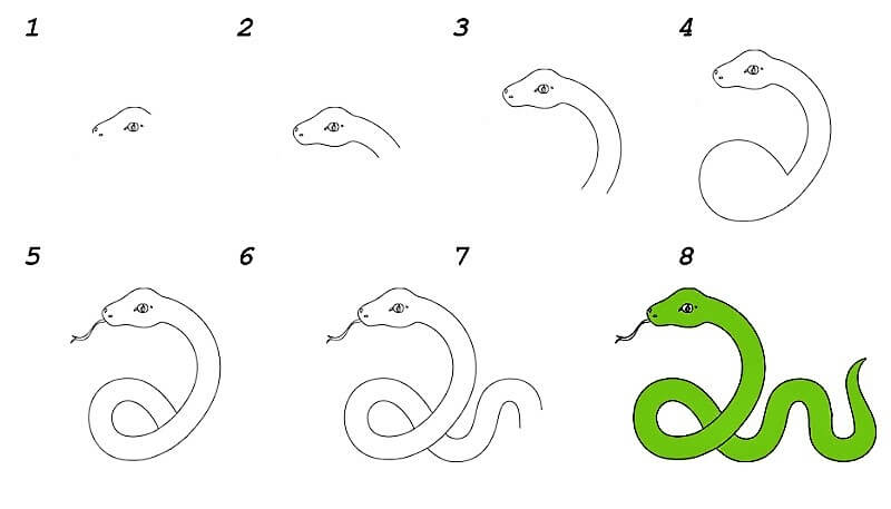 Zeichnen Lernen Eine Schlangenidee 16