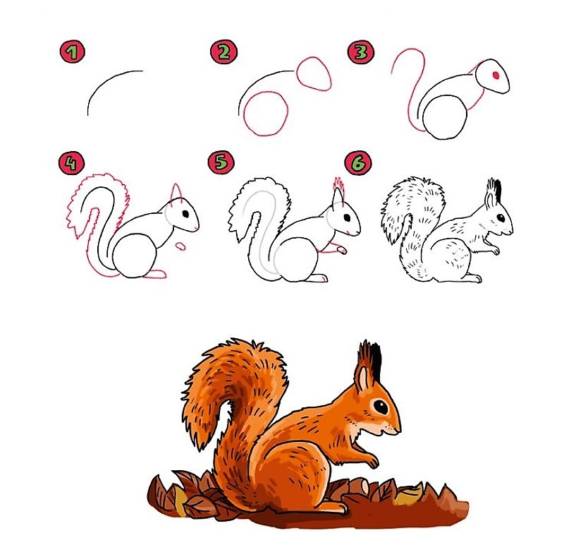 Ein Cartoon-Eichhörnchen zeichnen ideen