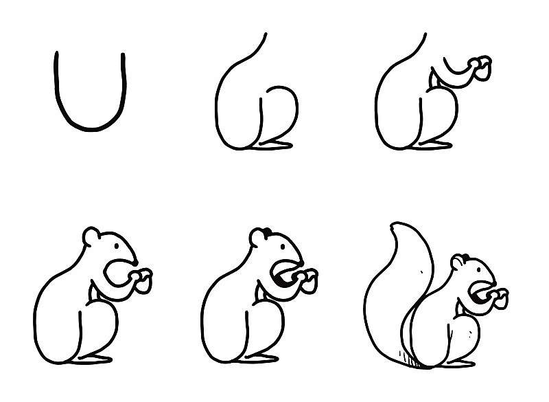 Ein einfaches Eichhörnchen zeichnen ideen