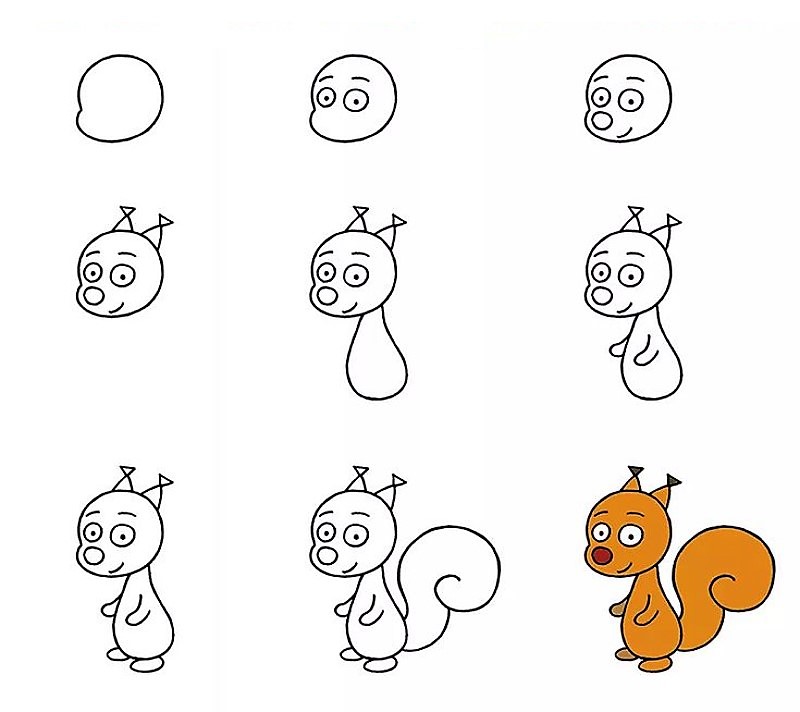 Zeichnen Lernen Eine Eichhörnchen-Idee 10