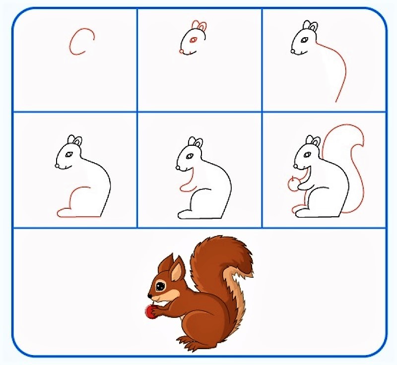 Zeichnen Lernen Eine Eichhörnchen-Idee 11