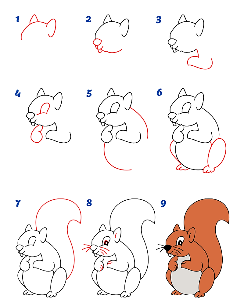 Eine Eichhörnchen-Idee 13 zeichnen ideen