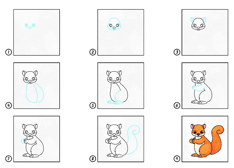 Zeichnen Lernen Eine Eichhörnchen-Idee 14