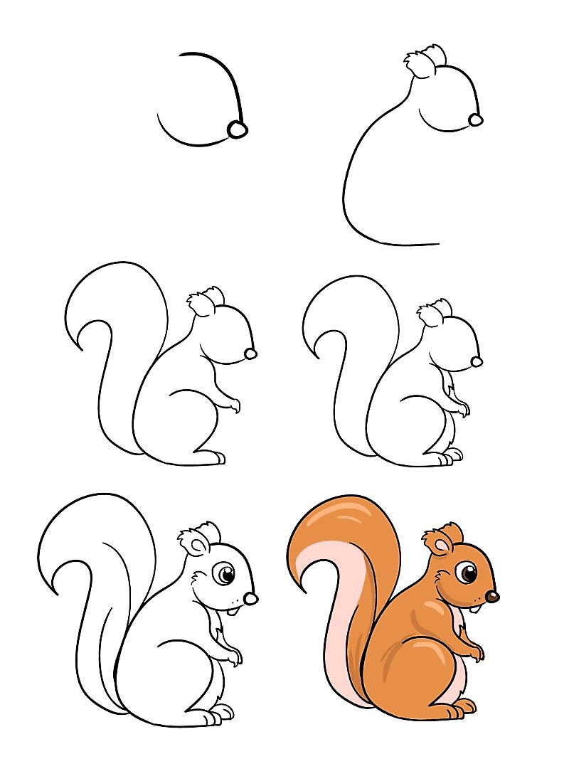 Eichhörnchen zeichnen ideen