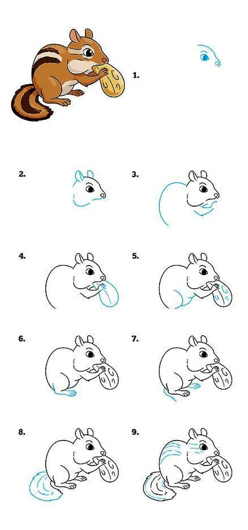 Eine Eichhörnchen-Idee 3 zeichnen ideen