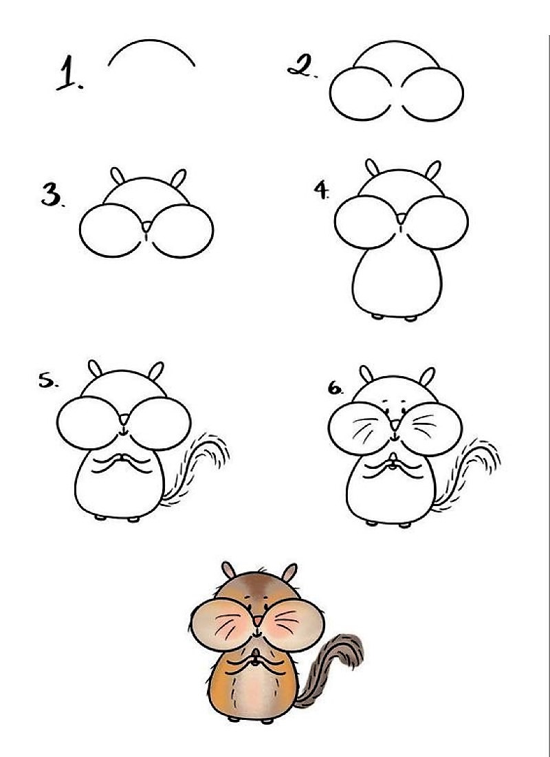 Zeichnen Lernen Eine Eichhörnchen-Idee 5
