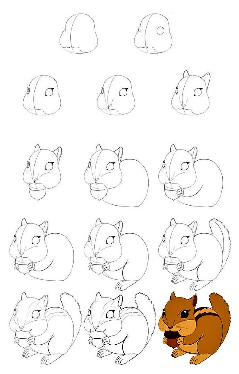 Zeichnen Lernen Eine Eichhörnchen-Idee 8