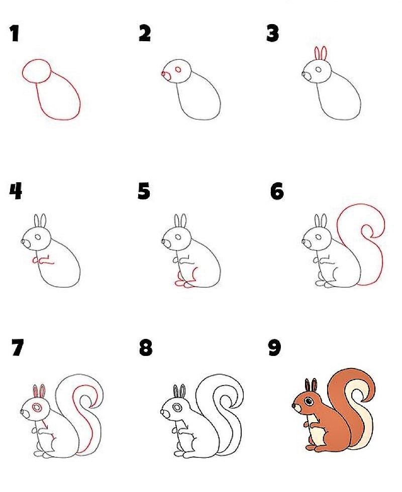 Eine Eichhörnchen-Idee 9 zeichnen ideen