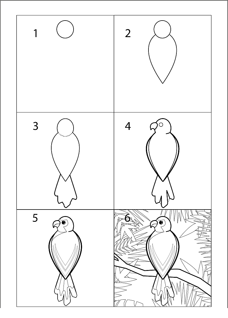 Die Idee eines Papageis in einem Busch zeichnen ideen