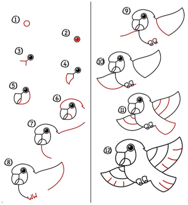 Ein detaillierter Papagei zeichnen ideen