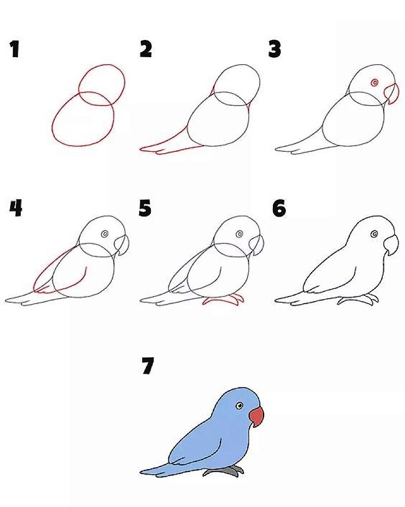 Papagei zeichnen ideen