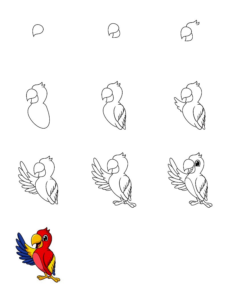 Ein Papagei schlägt mit den Flügeln zeichnen ideen