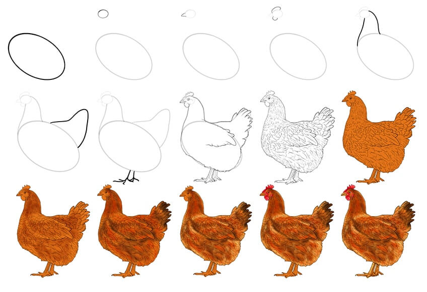 Hühneridee (4) zeichnen ideen