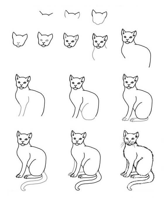 Zeichnen Lernen Ideen für Katzen (25)
