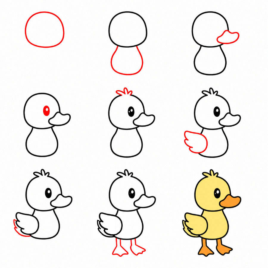 Zeichnen Lernen Kleine Ente