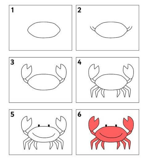 Zeichnen Lernen Krabbe Idee (11)
