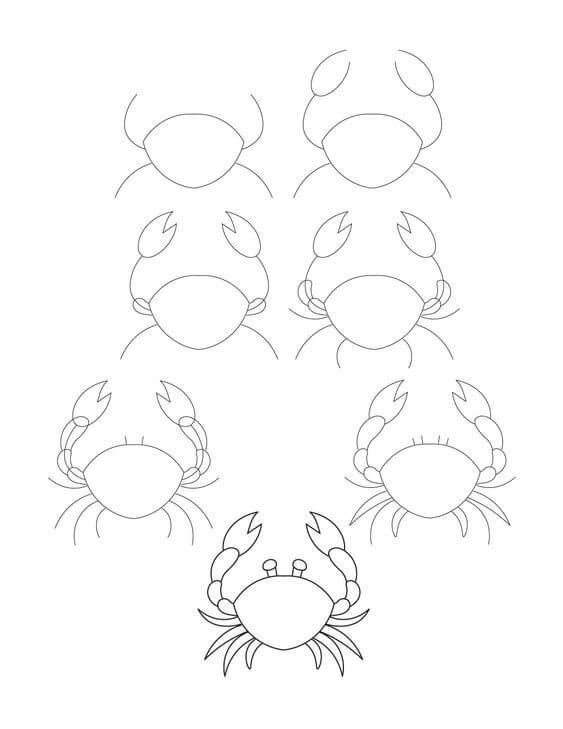 Zeichnen Lernen Krabbe Idee (15)