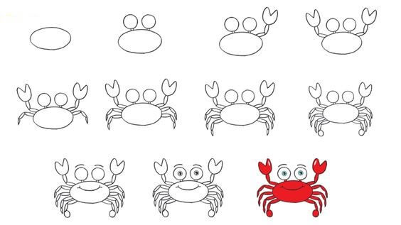 Zeichnen Lernen Krabbe Idee (22)