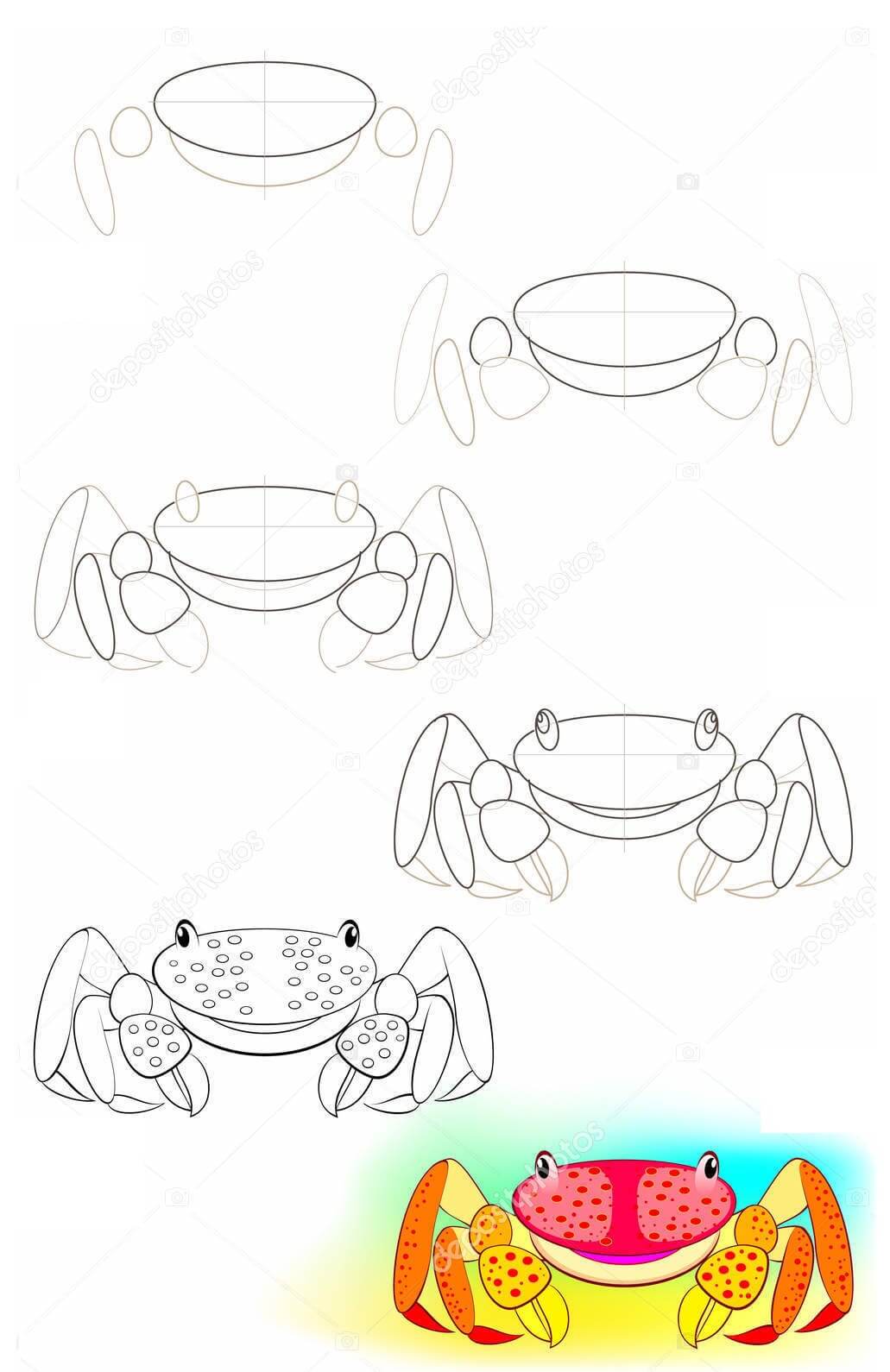 Zeichnen Lernen Krabbe Idee (24)