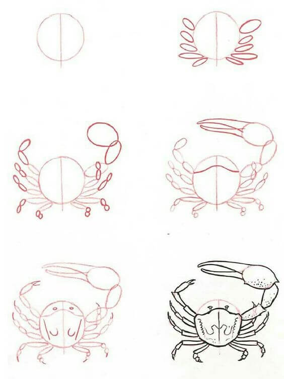 Zeichnen Lernen Krabbe Idee (25)