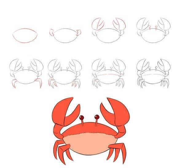 Zeichnen Lernen Krabbe Idee (26)